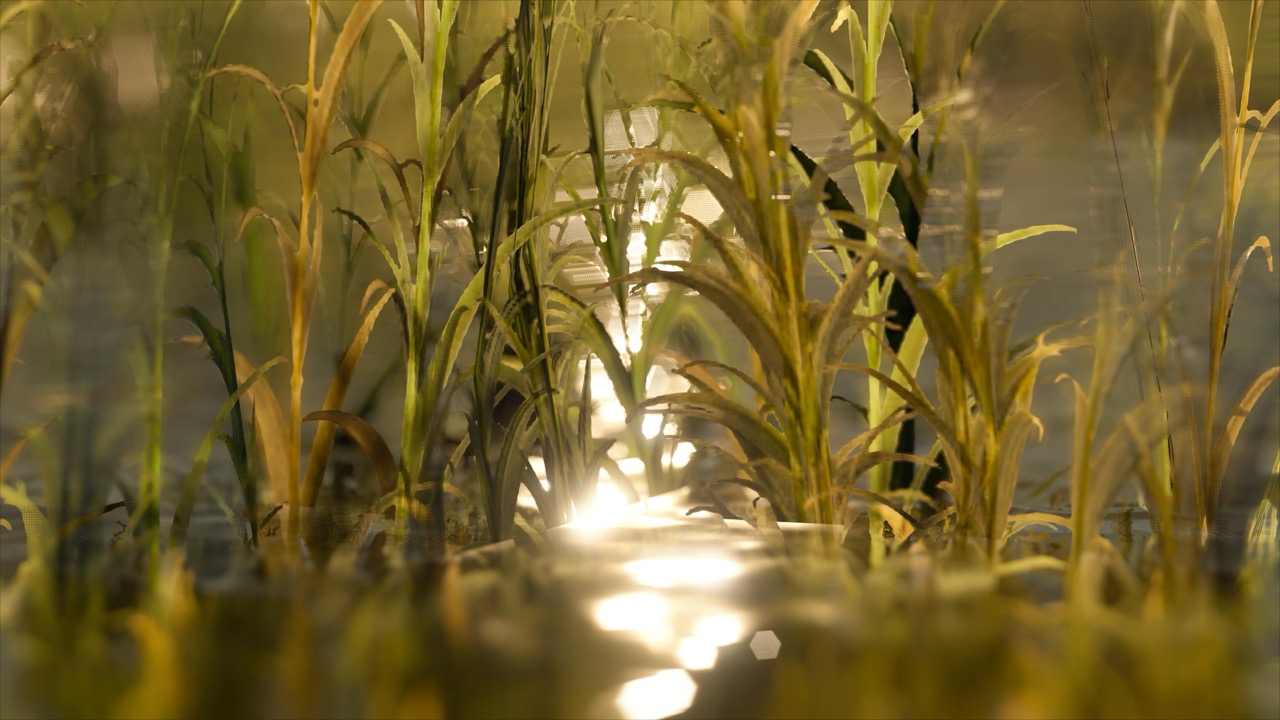 Studies on Breaking Immersion